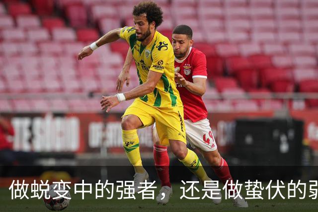 做蜕变中的强者，还是做蛰伏的弱者？宁波FC再战广西恒宸有玄机