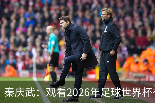 秦庆武：观看2026年足球世界杯有感